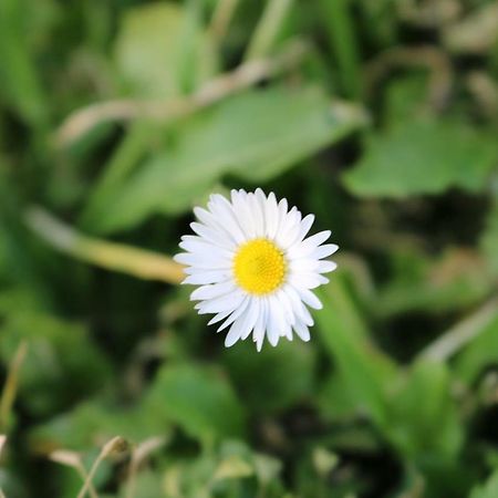 카솔레 델사 Il Fienile Nella Roccia 게스트하우스 외부 사진