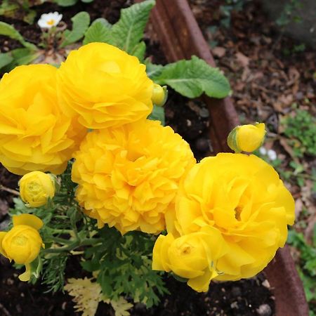 카솔레 델사 Il Fienile Nella Roccia 게스트하우스 외부 사진