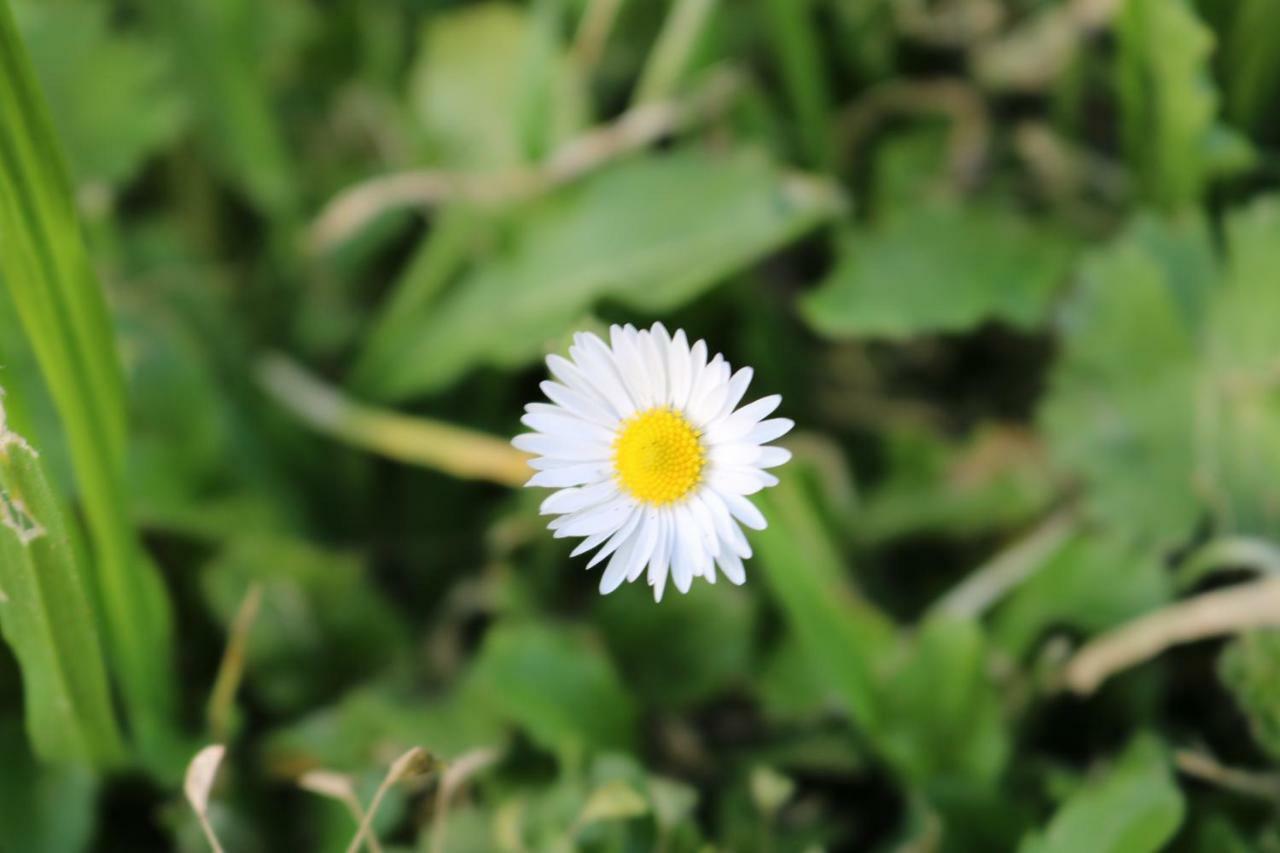 카솔레 델사 Il Fienile Nella Roccia 게스트하우스 외부 사진